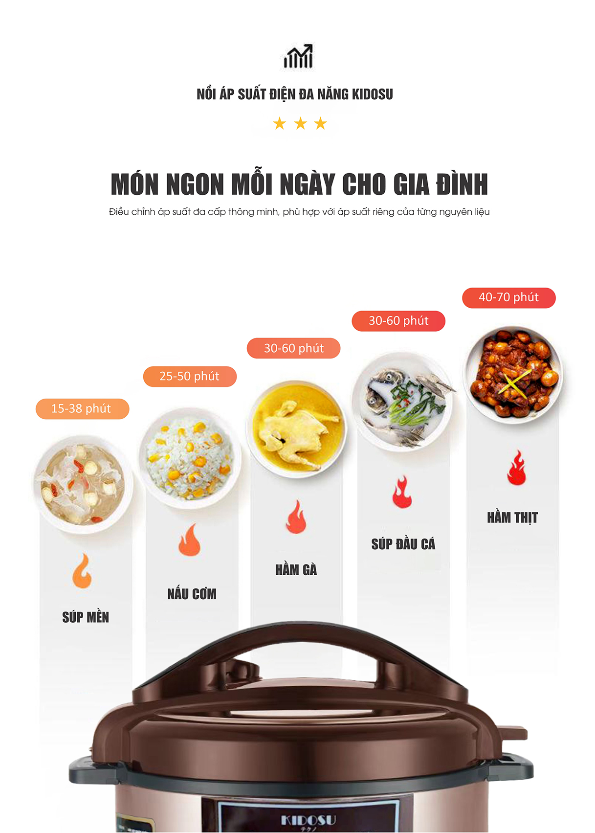 Nồi áp suất điện 6 lít Kidosu
