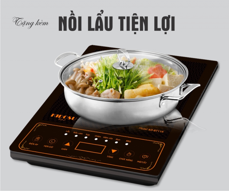 Bếp Từ Đơn Kidosu KD-BT116