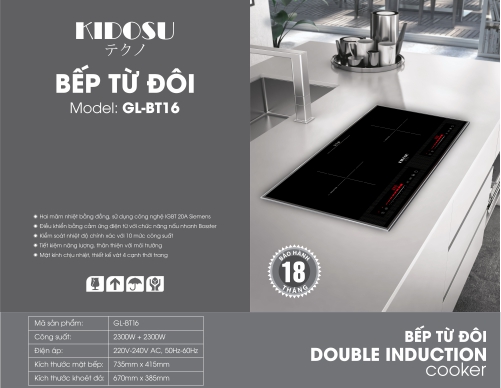 bếp từ đôi maxxsound